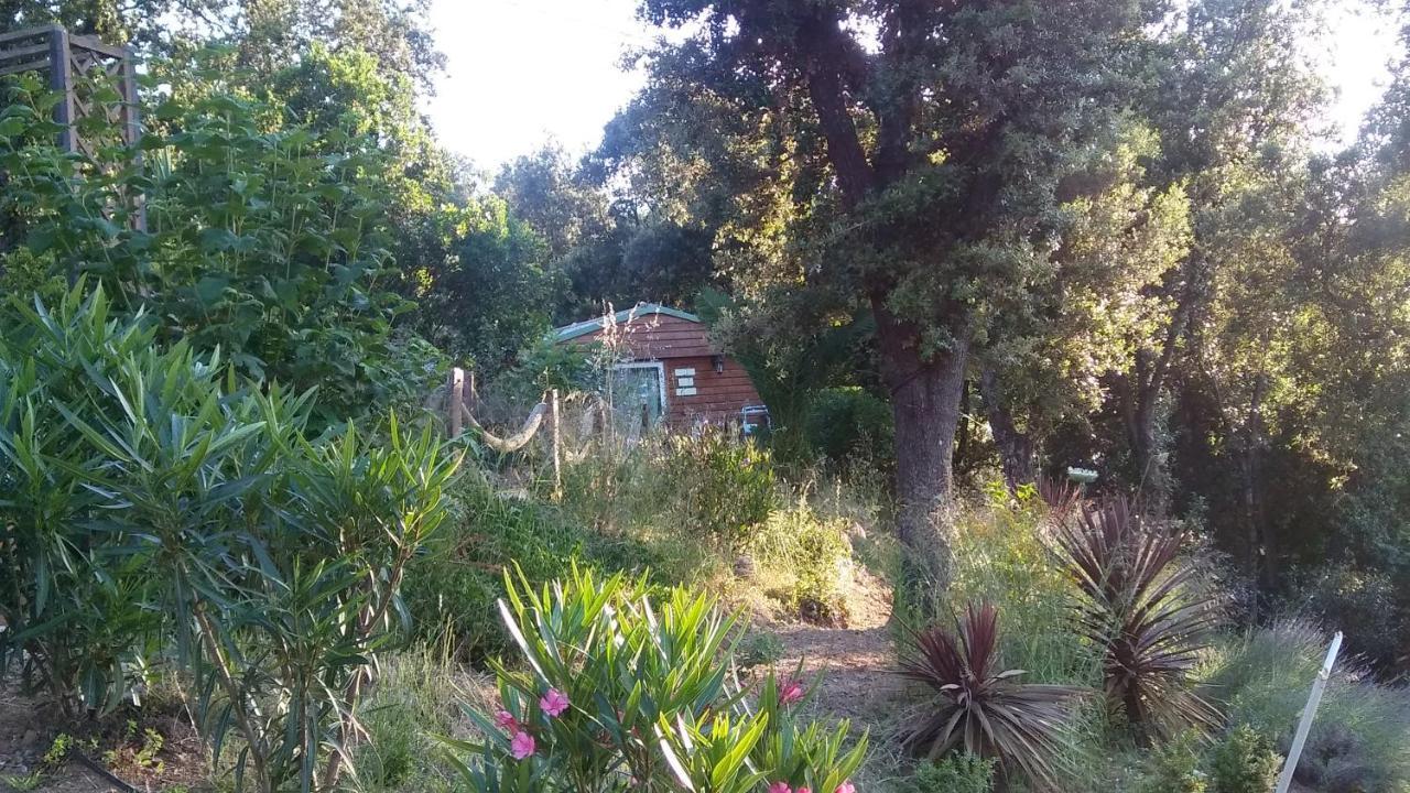 Le Petit Chalet Porticcio  Zewnętrze zdjęcie